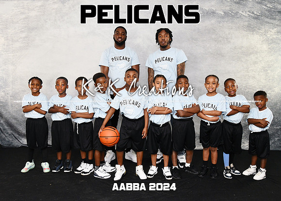 5X7 PELICANS TEAM