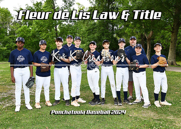 5x7 fleur de lis law team