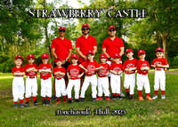 5X7 STRAWBERRY CASTLE TBALL