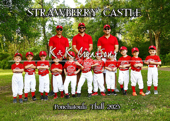 5X7 STRAWBERRY CASTLE TBALL