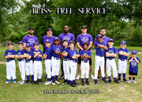 5X7 BLISS TREE SERVICE TEAM