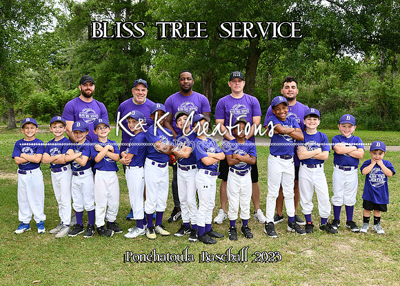 5X7 BLISS TREE SERVICE TEAM