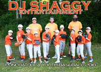 5x7 7-8b dj shaggy entertainment team