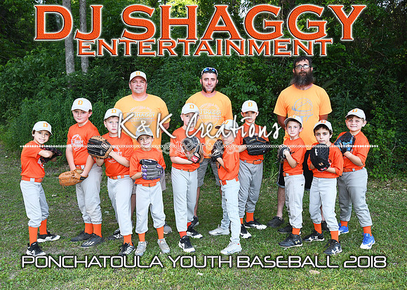 5x7 7-8b dj shaggy entertainment team