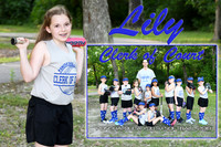 lily morse memory mate