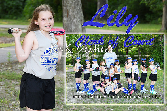 lily morse memory mate