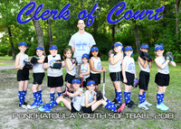 5x7 7-8g CLERK OF COURT TEAM