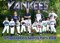 5X7 CHAPP YANKEES TEAM TBALL