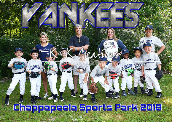 5X7 CHAPP YANKEES TEAM TBALL