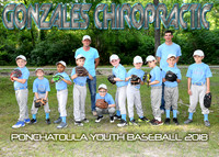 5x7 7-8b GONZALES CHIROPRACTIC TEAM