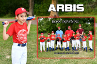 ARBIS HANNA MM