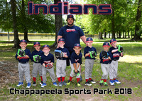 Tball Indians