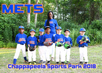 5x7 tball mets chappapeela team