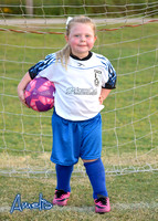 Terre U6