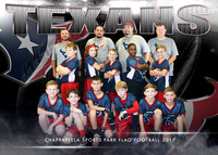 5X7 TEXANS TEAM 9-11 YEAR OLDS