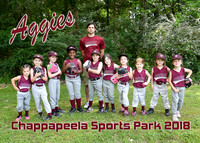 5x7 tball chapp aggies team