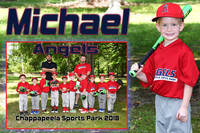 MICAHEL SPEER MEMORY MATE