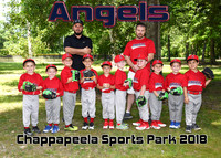 5x7 tball ANGELS CHAPPAPEELA TEAM