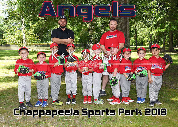 5x7 tball ANGELS CHAPPAPEELA TEAM