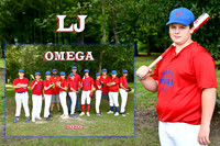 LJ KING MEMORY MATE