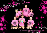 5x7 LITTLE VOLLEY VIPERS TEAM