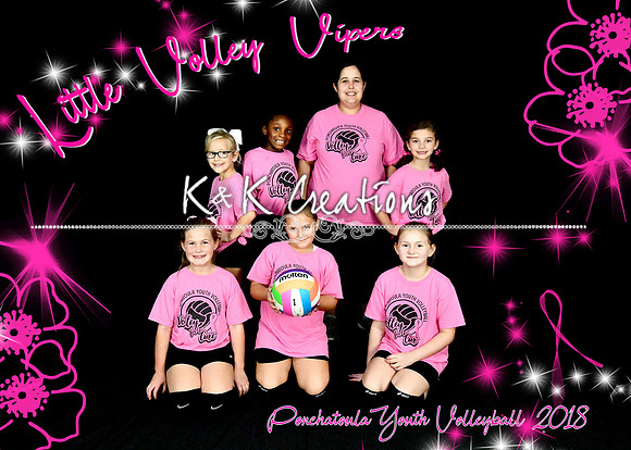 5x7 LITTLE VOLLEY VIPERS TEAM