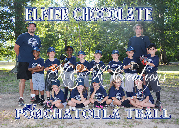 5X7 ELMER CHOCOLATE TBALL TEAM