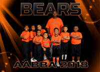 BEARS