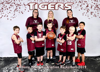 5x7 boys 6-7 team 3 TIGERS Ashley Kinchen TEAM
