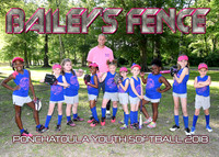7/8 Bailey's Fence