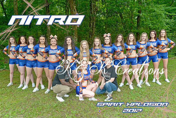 nitro team pic 8x12