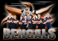 5X7 BENGALS 6-8 FOOTBALL TEAM