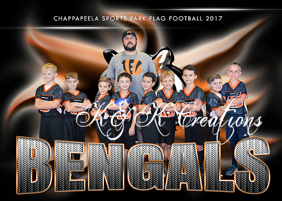 5X7 BENGALS 6-8 FOOTBALL TEAM