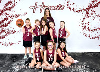 5x7 7-8 girls team 2 HORNETS team