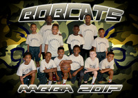 Bobcats