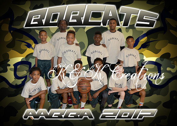 bobcats team_1