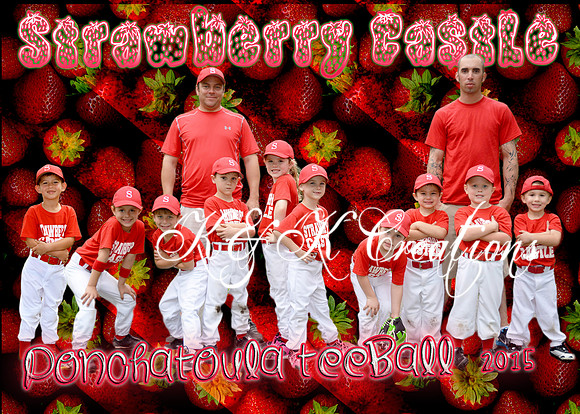 5x7 Strawberry Castle TEAM