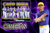 Cameron Gresham Memory Mate