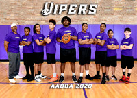 VIPERS