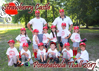 5x7 STRAWBERRY CASTLE TBALL TEAM
