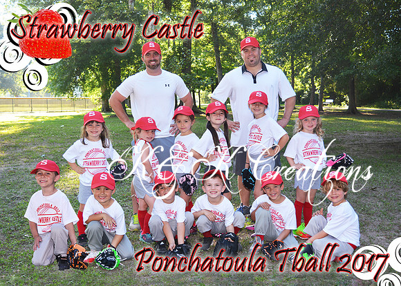 5x7 STRAWBERRY CASTLE TBALL TEAM