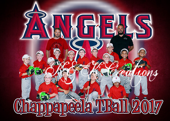 5X7 ANGELS TBALL TEAM