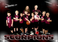 Boys 7-8 Team 2 Scorpions