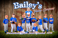 bailey's fence co_finaledit