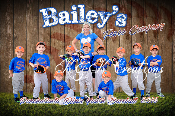 bailey's fence co_finaledit