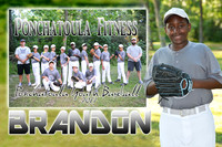 BRANDON PATTERSON JR memory mate