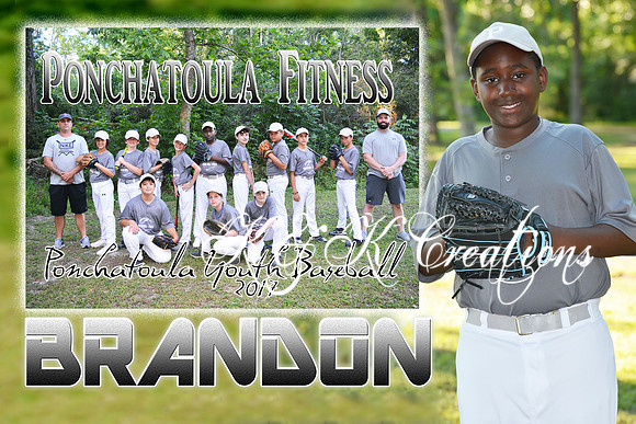 BRANDON PATTERSON JR memory mate