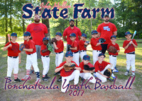 5x7 JOHN MOLLERE STATE FARM TEAM