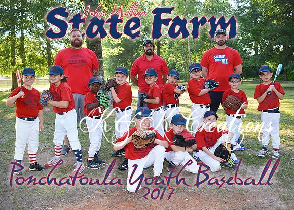 5x7 JOHN MOLLERE STATE FARM TEAM
