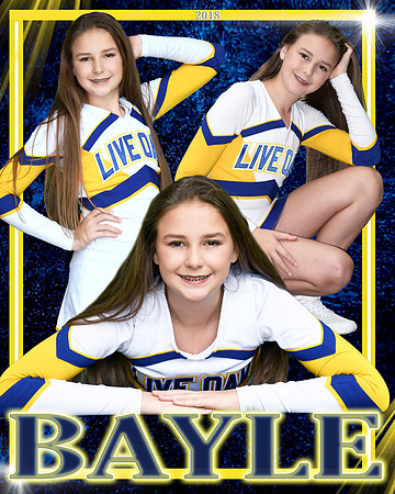 BAYLE LINDSAY COLLAGE